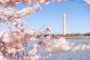 db真人官网注册-洛杉矶快船官网