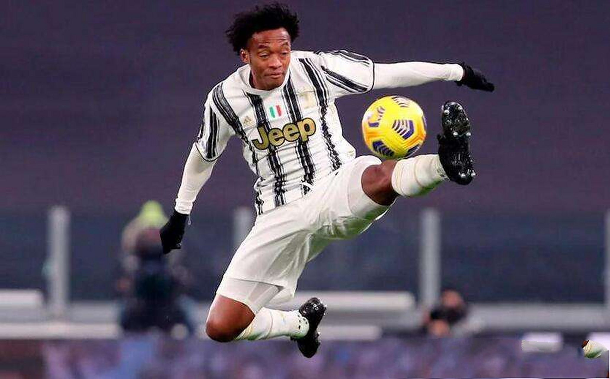 论文免费自动降重