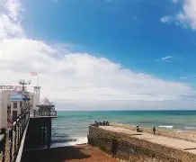 布莱顿迎社区盾关键赛，今夜扳平良机，话题不断，细节决定成败